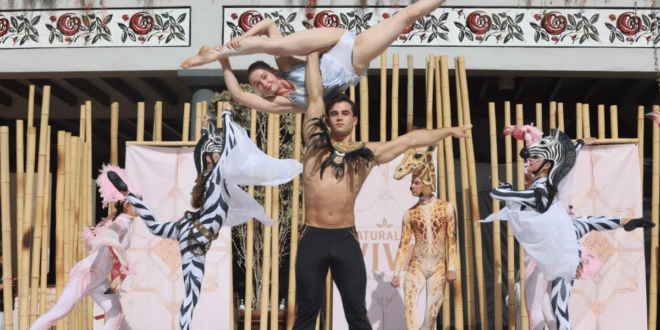 Plaza Mayor unveils magical summer show bringing nature to life in Malaga