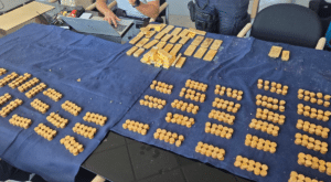 ‘We’ve found gold’: Belgian builders strike €9m treasure hidden behind cellar wall