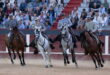 Be dazzled in Fuengirola by an unforgettable night of horses, flamenco and Spanish food