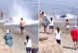 Marbella beachgoers stunned as huge fish swims ashore