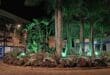 Almuñécar roundabout gets facelift with new lighting and more sustainable landscaping