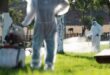 Five new cases of West Nile virus infections detected in Andalucía, taking the total to 26