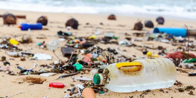 How you can join three Benalmadena lifeguards on their mission to clean up our beaches