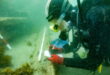 Cabopino’s underwater dig could solve a 139 year old shipwreck mystery