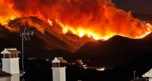 Igualeja fire causes emergency alert and confinement order as flames spread towards Sierra de las Nieves