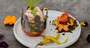 Don’t miss ACE-SHIN’s Autumn Charity Lunch, with great food, raffle prizes and Harvey James on vocals