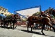 Horses fill Fuengirola’s streets, welcoming everyone for a day full of tradition
