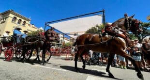 Horses fill Fuengirola’s streets, welcoming everyone for a day full of tradition