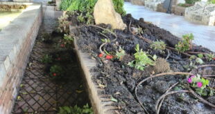 Gardeners struggle to keep up with the destruction of Mijas’s green spaces each night, and its costing a fortune