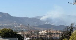 Jordanian man, 78, dies from burns one week on from Benahavis wildfire after refusing to evacuate and trying to fight flames himself