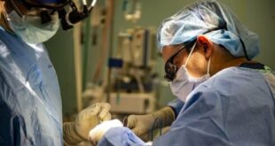 Transplant patients offered new hope as Spanish doctors develop technique to end organ rejection