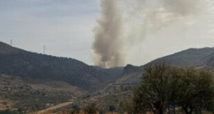 Fast-moving wildfire near Costa del Sol finally stabilised after dozens of locals forced to evacuate