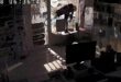 CCTV footage shows thief attempting to burgle several shops in Almuñécar