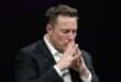 Has AI gone Too far? Elon Musk backs calls to slow down development