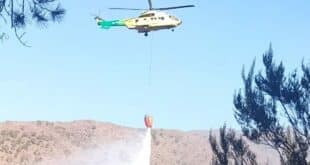 Benahavis wildfire stabilised after burning more than 300 hectares as residents return home
