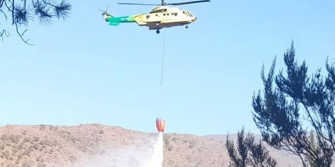 Benahavis wildfire stabilised after burning more than 300 hectares as residents return home
