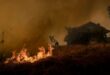 Wild wildfires: Over 3,000 square kilometres wiped off the map of Spain in nine months – triple the average