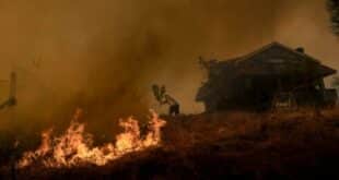Wild wildfires: Over 3,000 square kilometres wiped off the map of Spain in nine months – triple the average