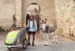 Pilgrim with no phone, no money and a famous donkey strolls into Costa del Sol town