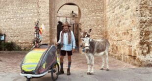 Pilgrim with no phone, no money and a famous donkey strolls into Costa del Sol town