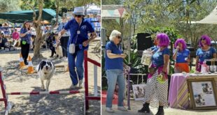 ARCH Autumn Fest returns with new date after rain postponement