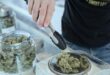 Cannabis clubs in upmarket Costa Blanca towns are shut down for illegally selling drugs to tourists