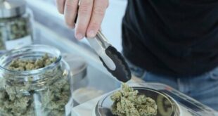Cannabis clubs in upmarket Costa Blanca towns are shut down for illegally selling drugs to tourists