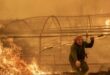 SPECIAL MULTIMEDIA INVESTIGATION: Inside Spain’s wildfires and the factors that drove them to destroy an area the size of Mallorca in 2026