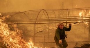 SPECIAL MULTIMEDIA INVESTIGATION: Inside Spain’s wildfires and the factors that drove them to destroy an area the size of Mallorca in 2026
