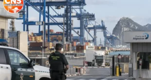 Container terminal at Algeciras port in daylight