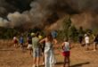 355,000 Hectares burnt, 8 dead: WWF urges Spain to rethink wildfire prevention