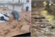 WATCH: Biblical rainstorms unleash flash floods across Spain – elderly woman, 102, found dead after becoming trapped in home