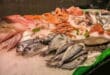 Warning over popular fish carrying more than 70 parasites: Is it in your fridge?