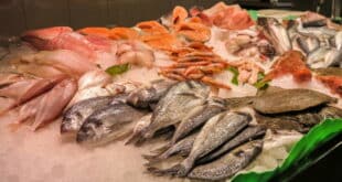 Warning over popular fish carrying more than 70 parasites: Is it in your fridge?
